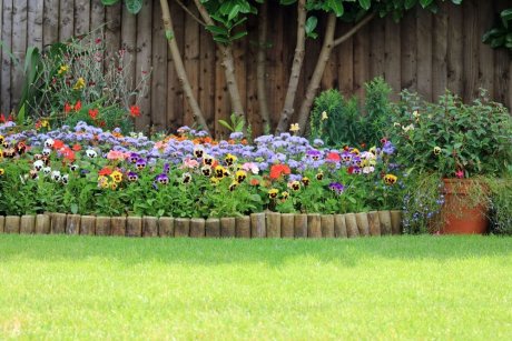 Заборчики и ограждения 🎍 своими руками для клумб и цветников — фото декоративного забора для сада
